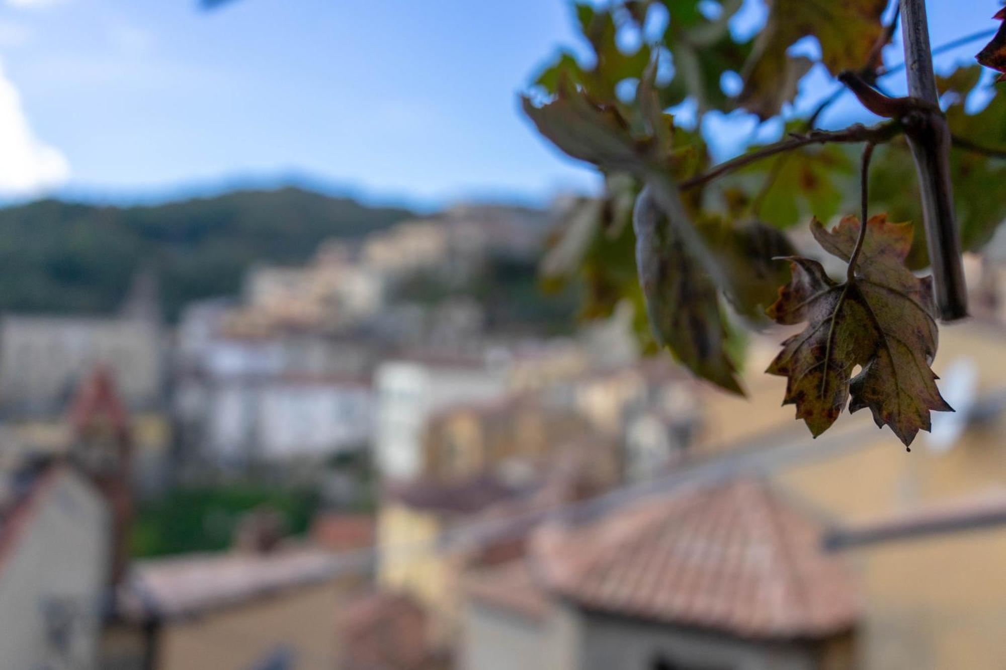 B&B Sud E Magia Castelmezzano Ngoại thất bức ảnh